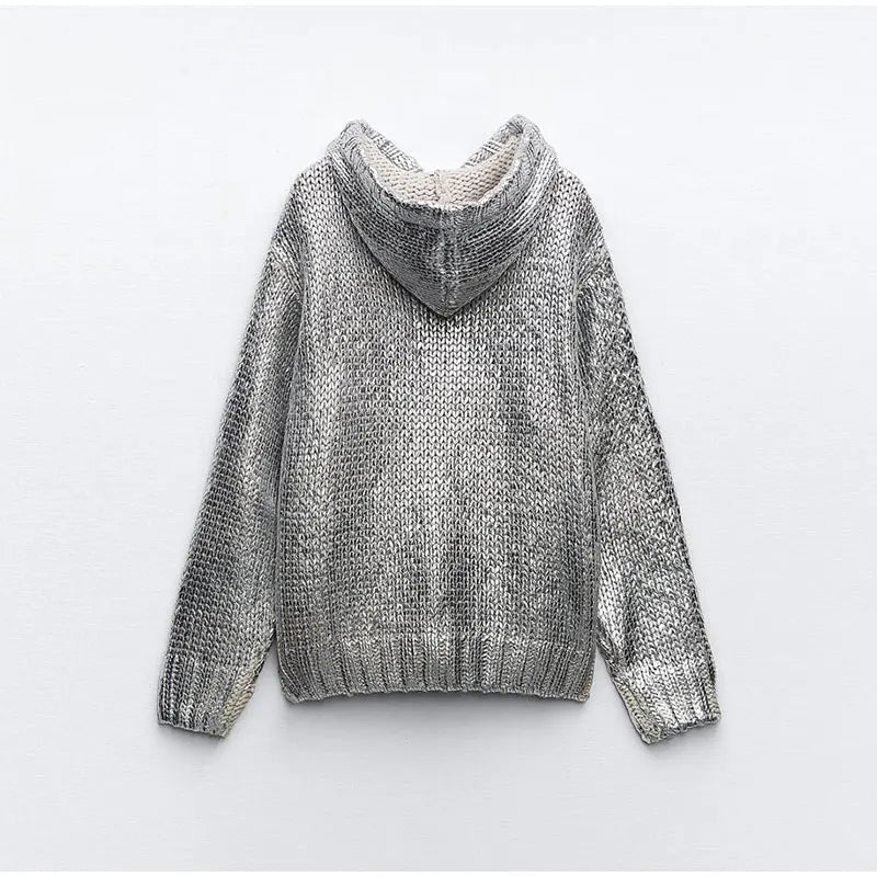 Zilda Silver Metallic Hoodie Sweater